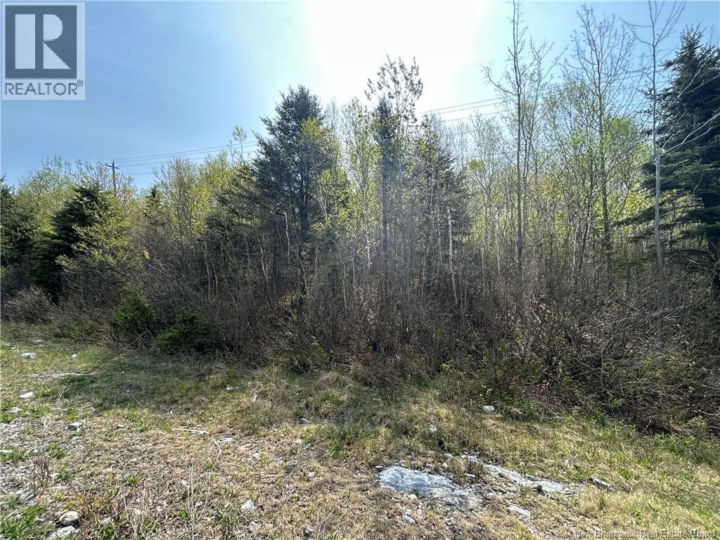 Golden Grove Mountain