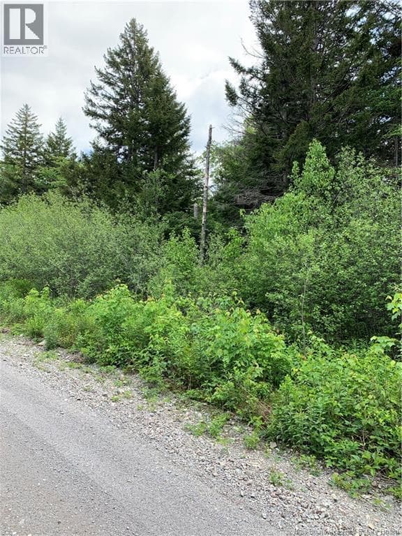 Lot 15-B Burchills Flats, photo 10