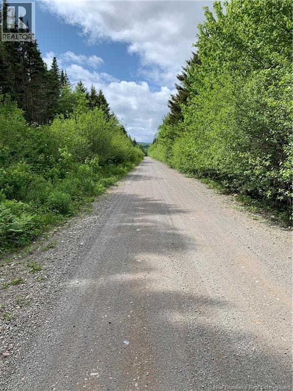 Lot 15-B Burchills Flats, photo 4