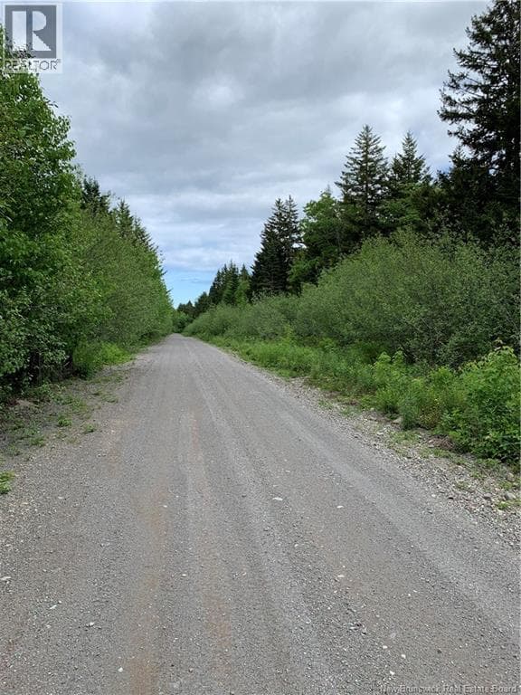 Lot 15-B Burchills Flats, photo 6