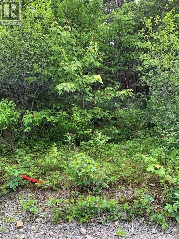 Lot 15-B Burchills Flats, photo 7