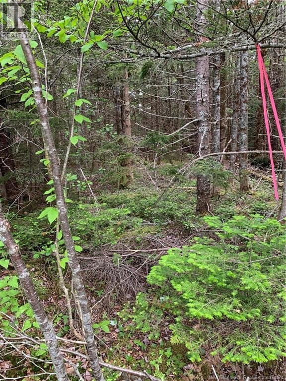 Lot 15-B Burchills Flats, photo 9