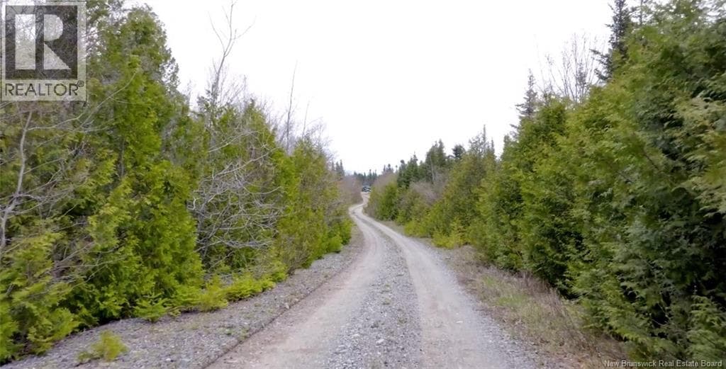 Downeast Drive, photo 7