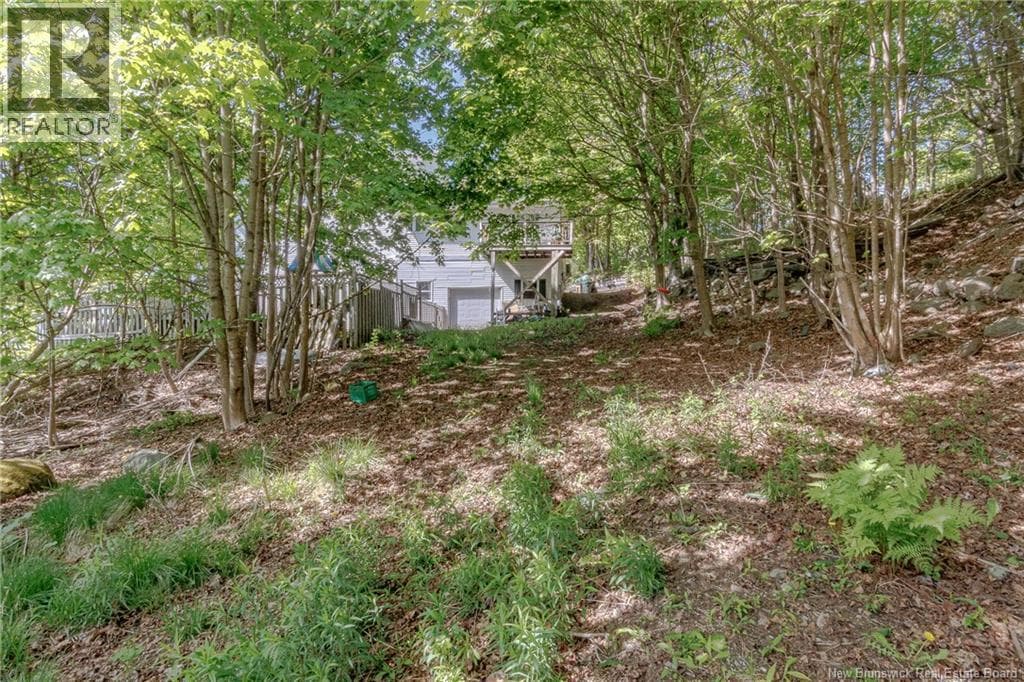 15 OBrien Street, photo 48