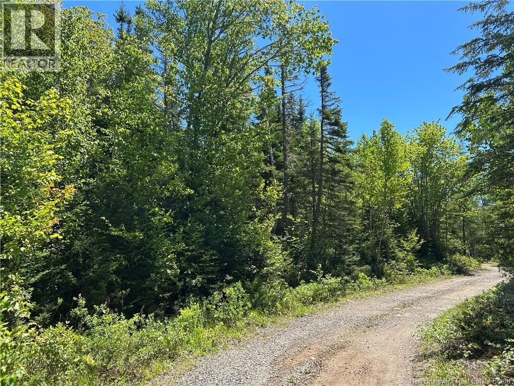 Lot Nelson Lake Road