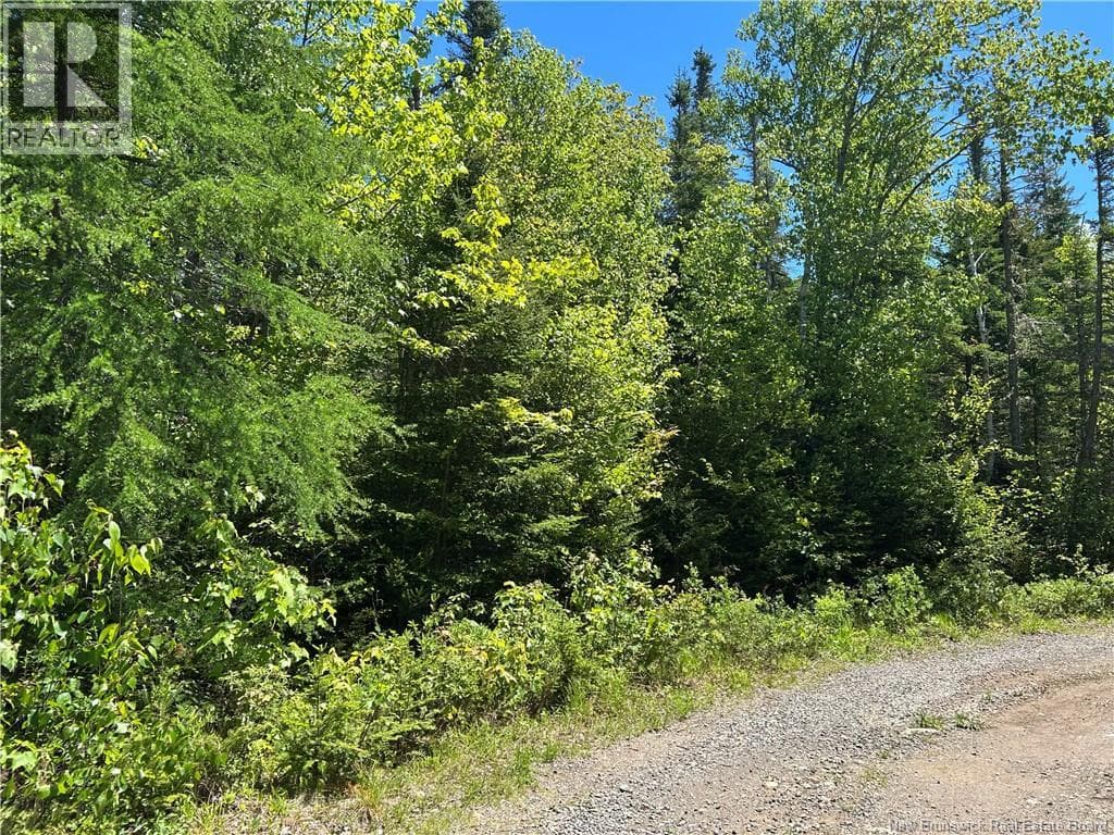 Lot Nelson Lake Road, photo 2