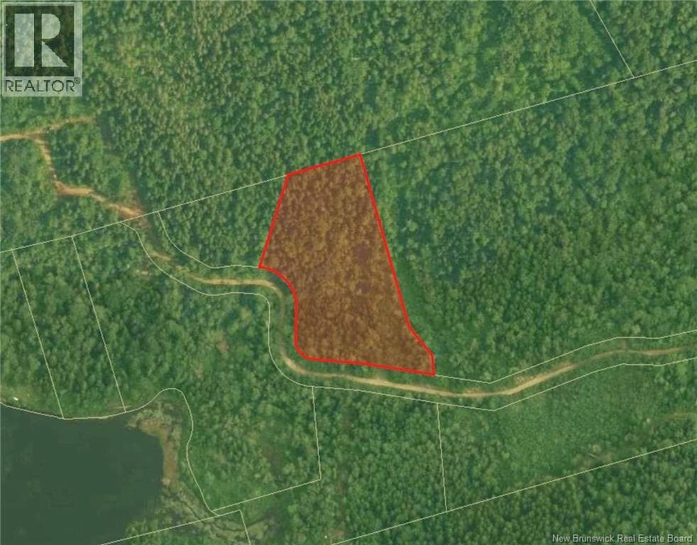 Lot Nelson Lake Road, photo 3