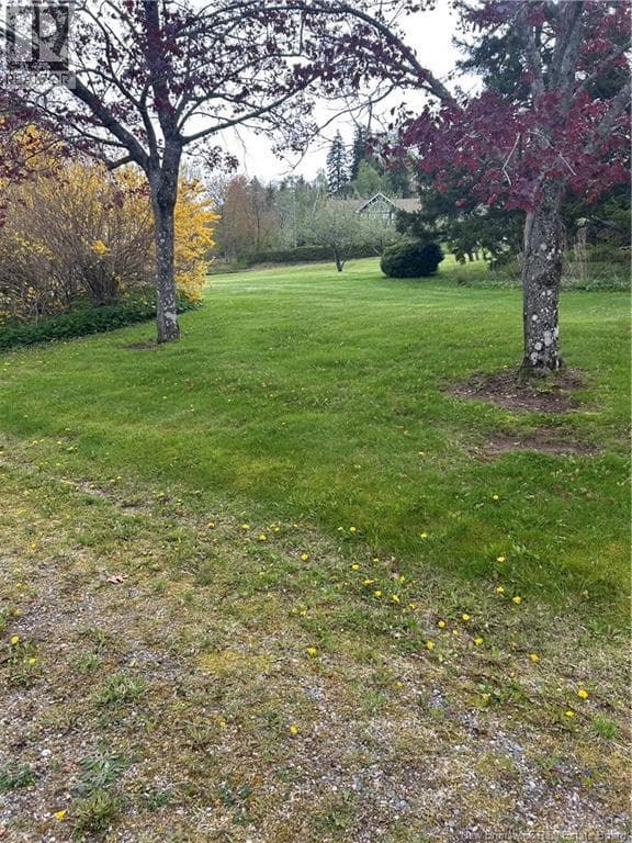 85 Brandy Point Road, photo 5