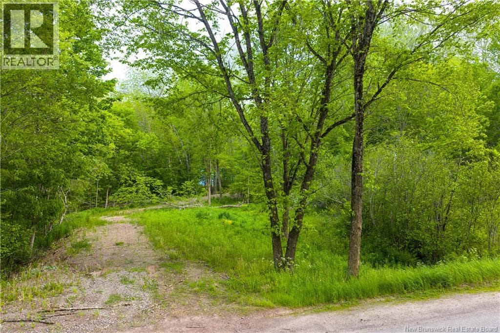 Lot Main Street, photo 3