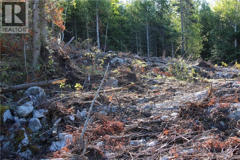 Lot C-9/10 Shoreline Drive, photo 10