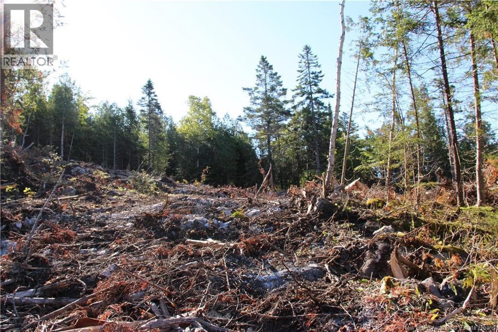 Lot C-9/10 Shoreline Drive, photo 7