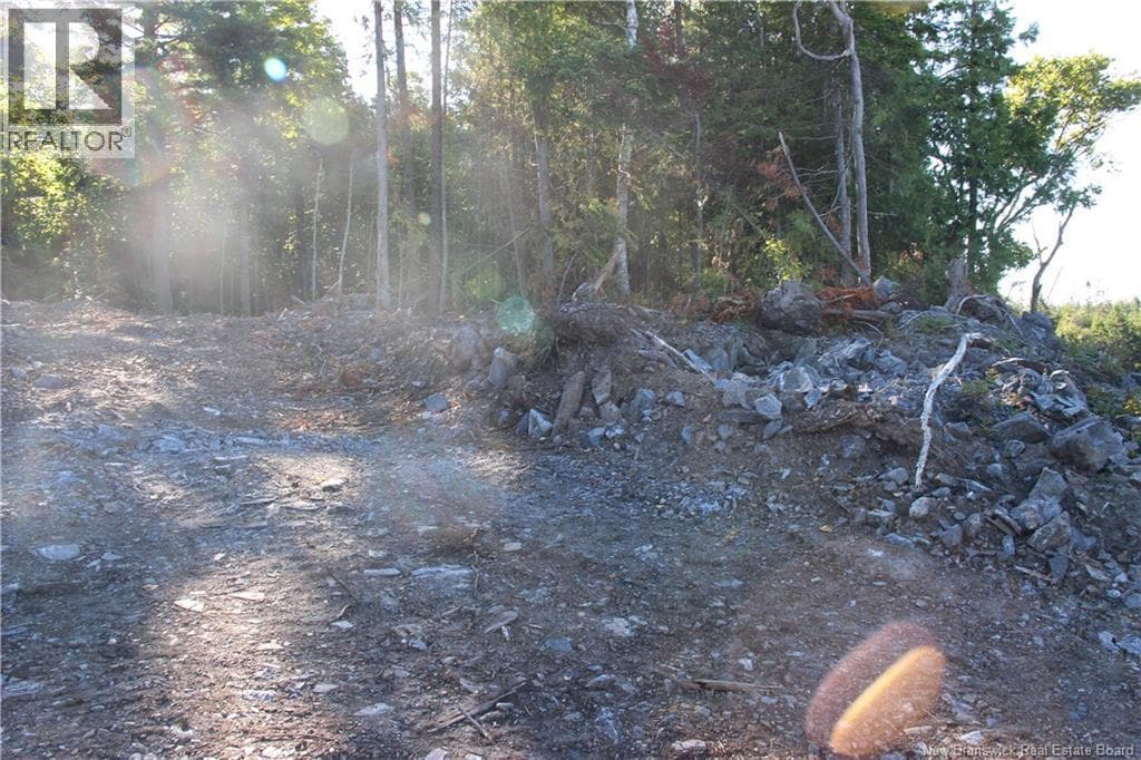 Lot C-9/10 Shoreline Drive, photo 13