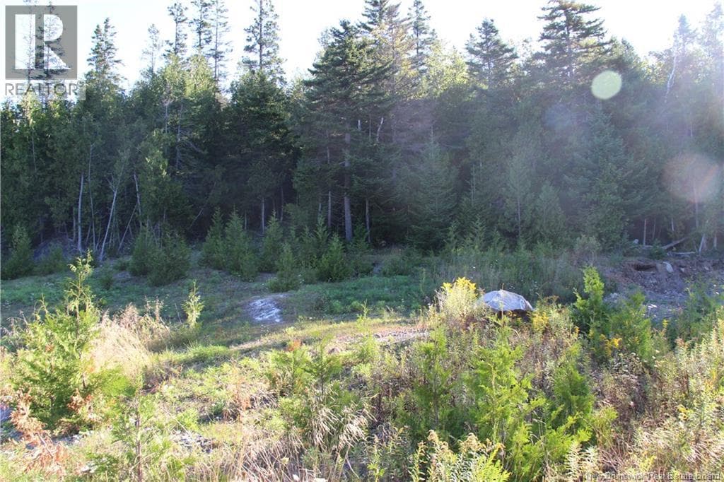Lot C-9/10 Shoreline Drive, photo 4
