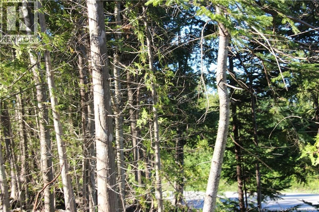 Lot C-9/10 Shoreline Drive, photo 11