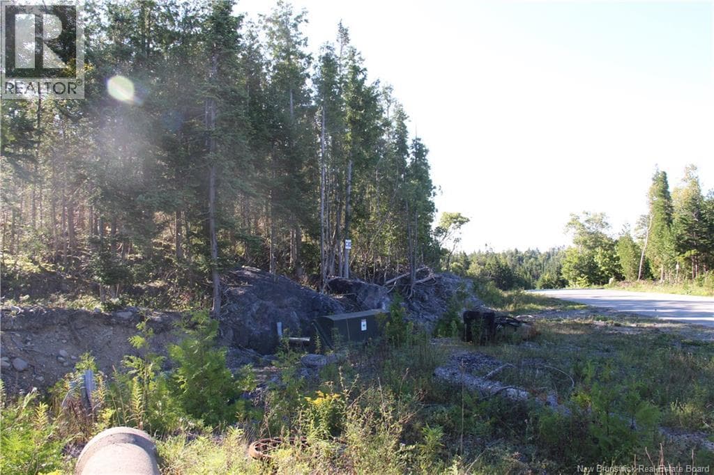 Lot C-9/10 Shoreline Drive, photo 6