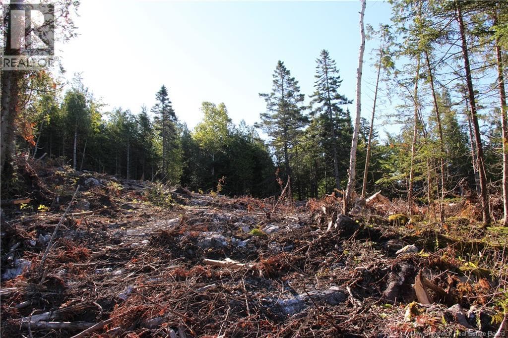 Lot C-9/10 Shoreline Drive, photo 9
