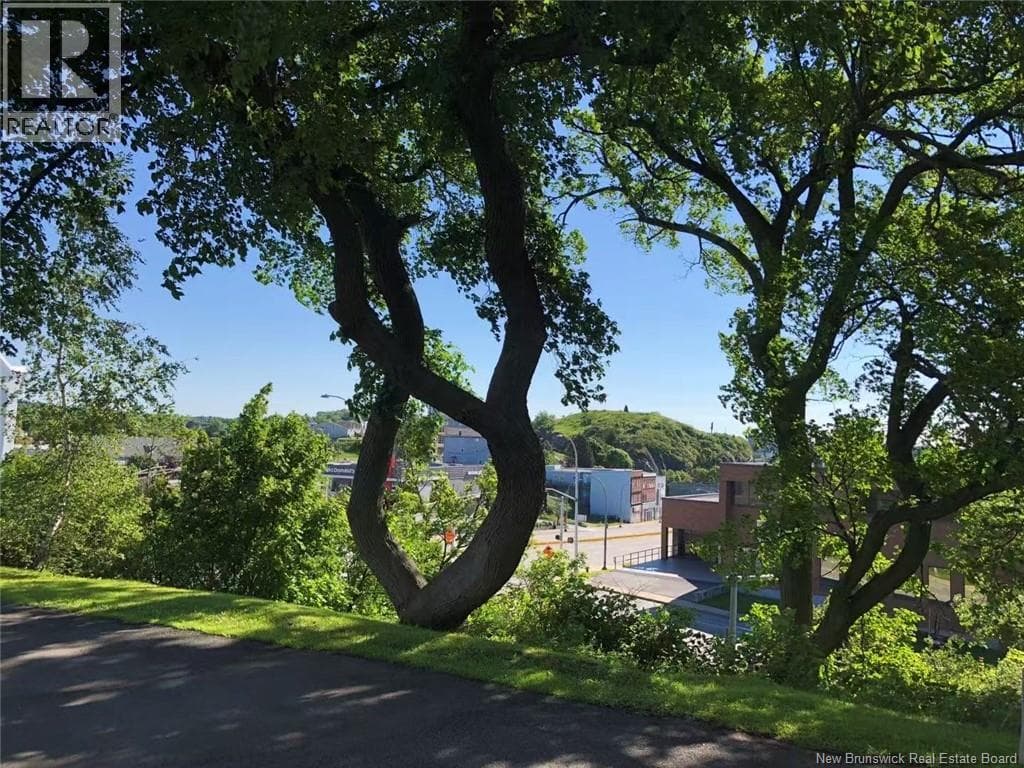 2-4 Douglas Avenue, photo 45
