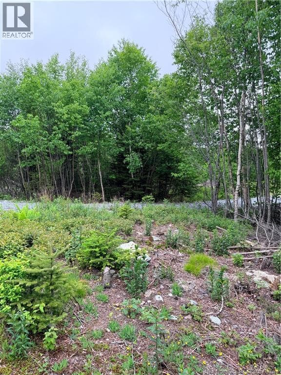 Meadow Cove Road, photo 7