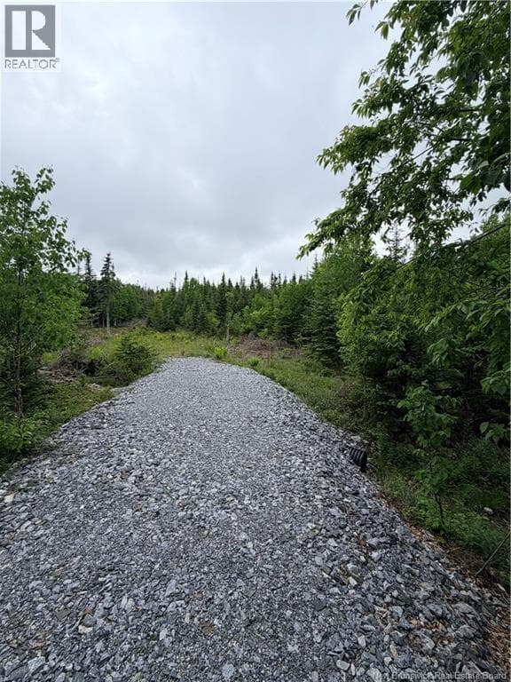 Meadow Cove Road, photo 2