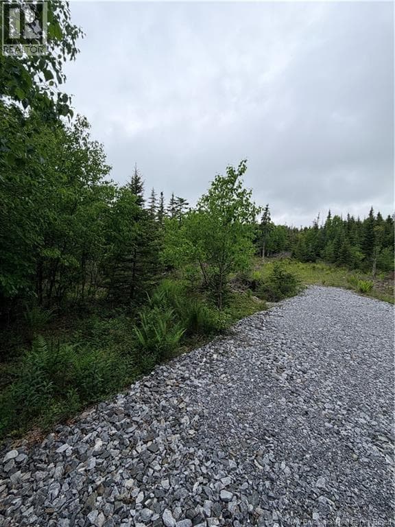 Meadow Cove Road, photo 3