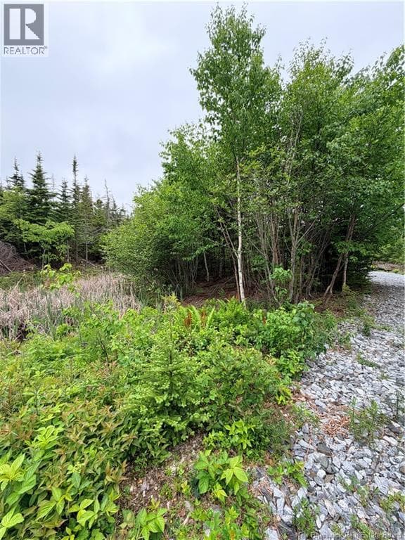 Meadow Cove Road, photo 6