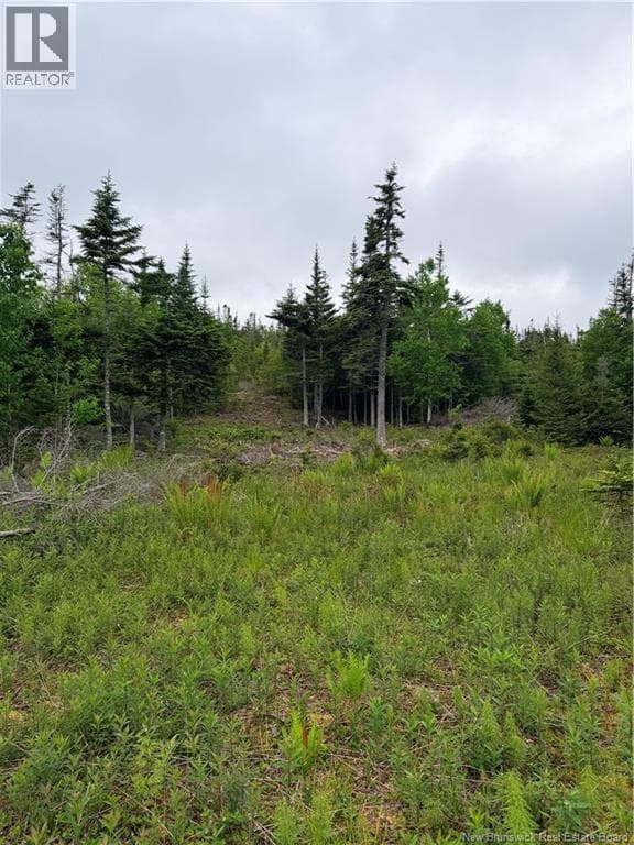 Meadow Cove Road, photo 9