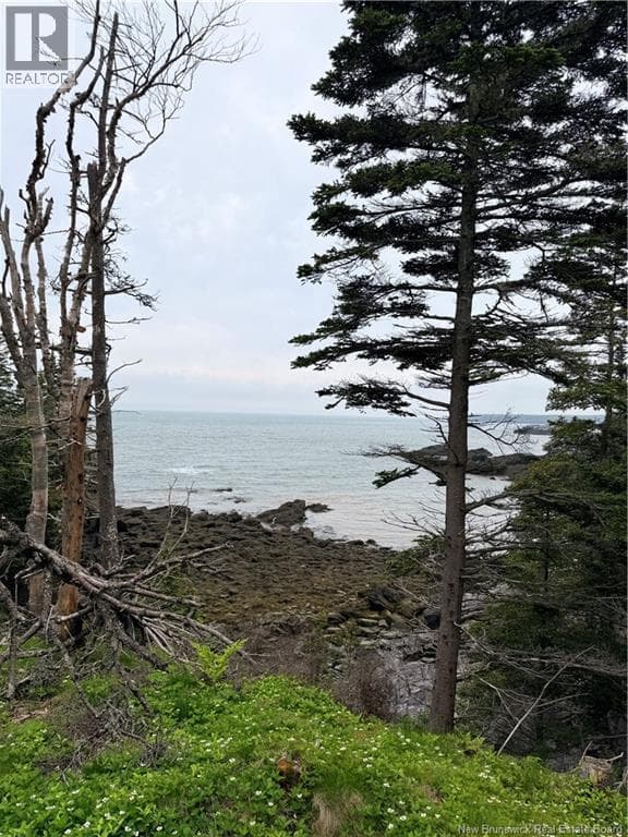 Meadow Cove Road, photo 12