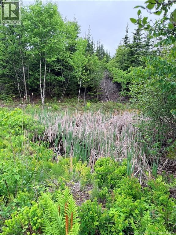 Meadow Cove Road, photo 8