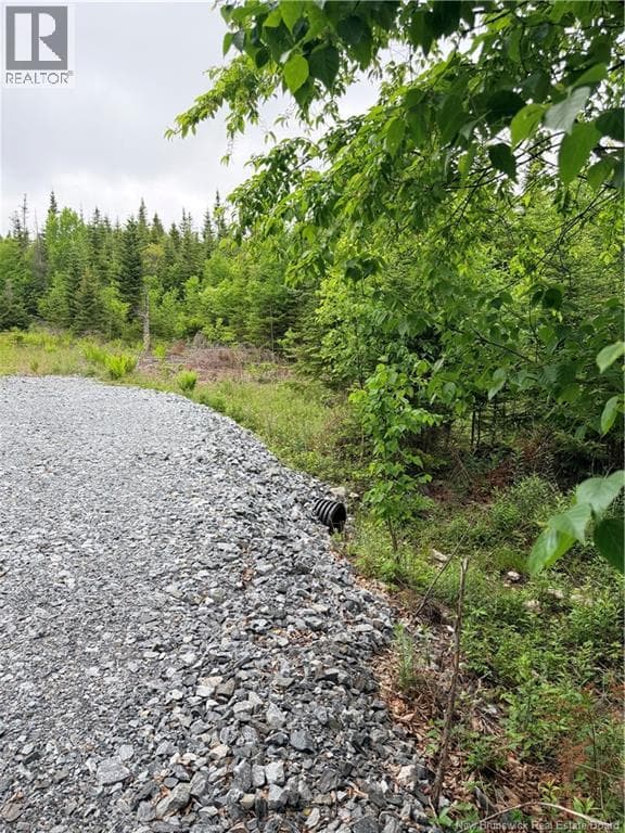 Meadow Cove Road, photo 4