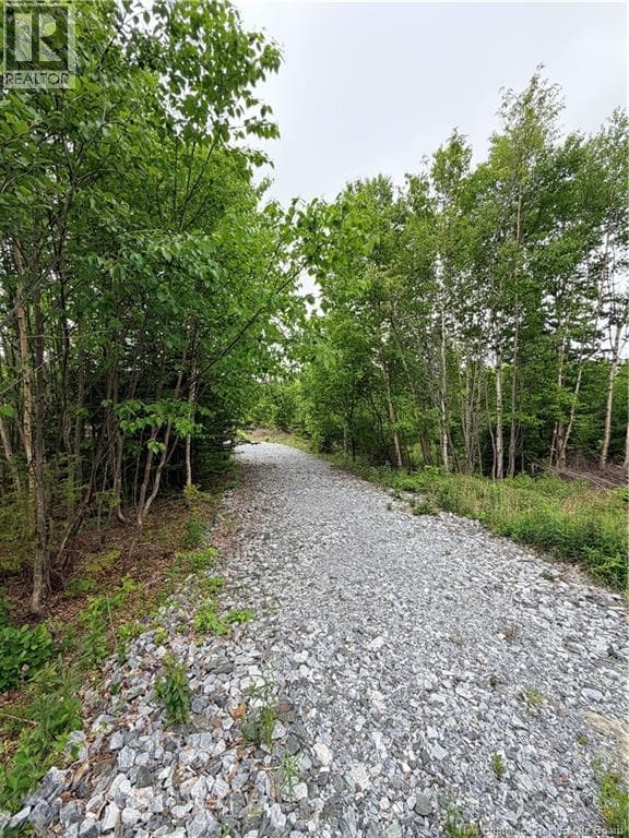 Meadow Cove Road, photo 5