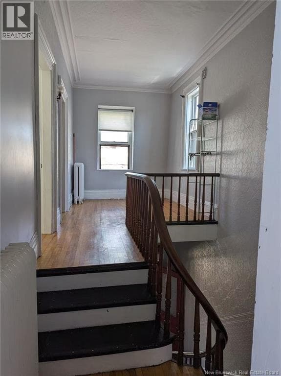 178 Queen Street, photo 7