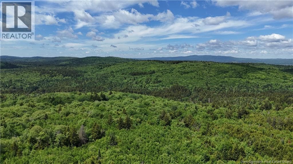 LOT Backland Road, photo 8