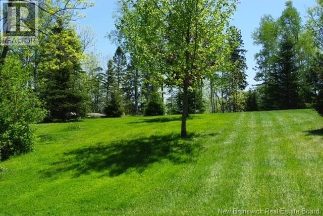 160 Meenans Cove Road, photo 42