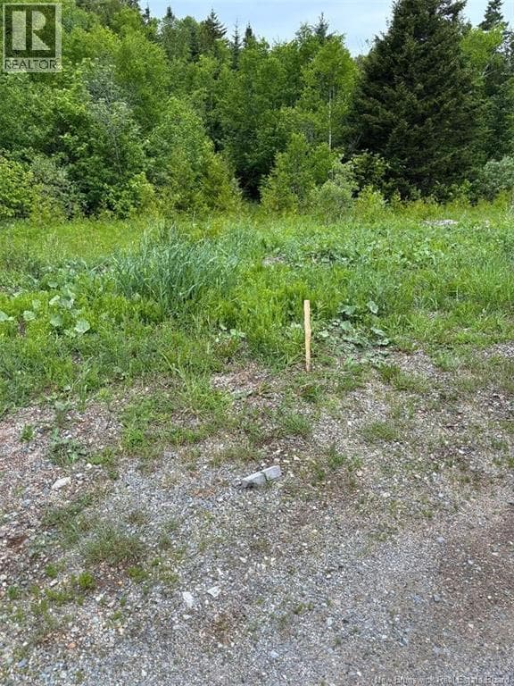 00 Drury Cove Road