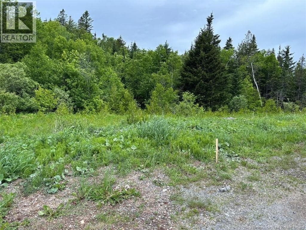 00 Drury Cove Road, photo 2