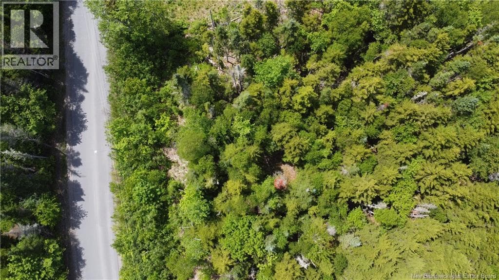 134 Highland Road, photo 6
