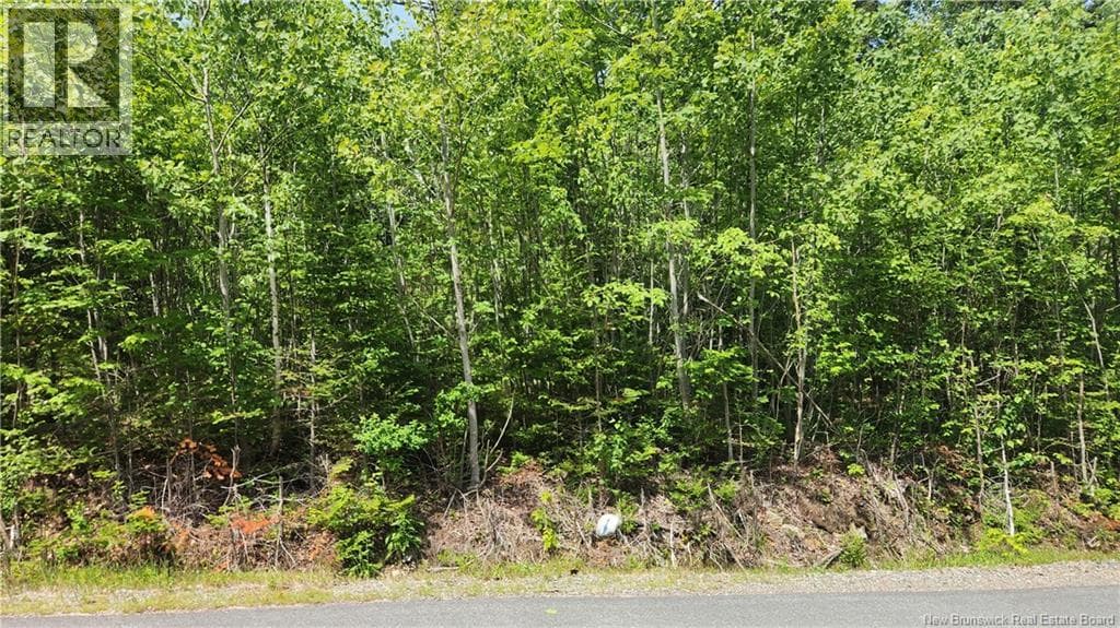 128 Highland Road, photo 2