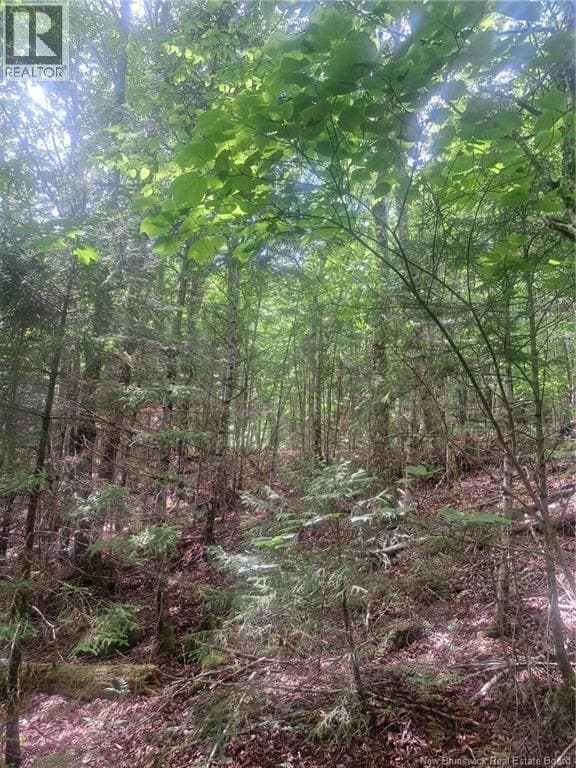 0 PattersonSiding/Town Plot Road, photo 8