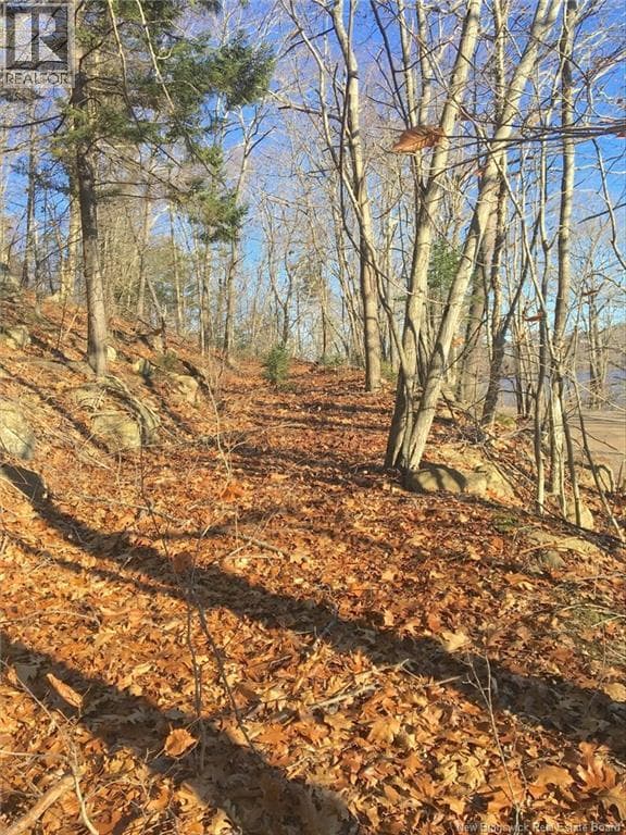 Norton Shore, photo 7