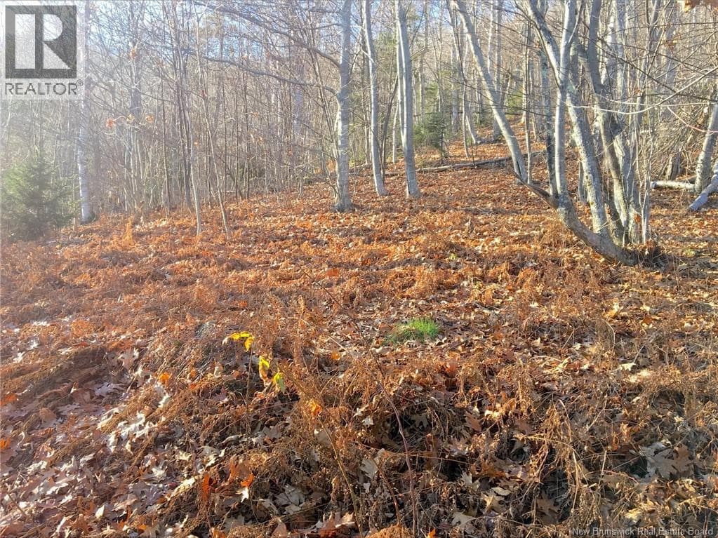 Norton Shore, photo 9