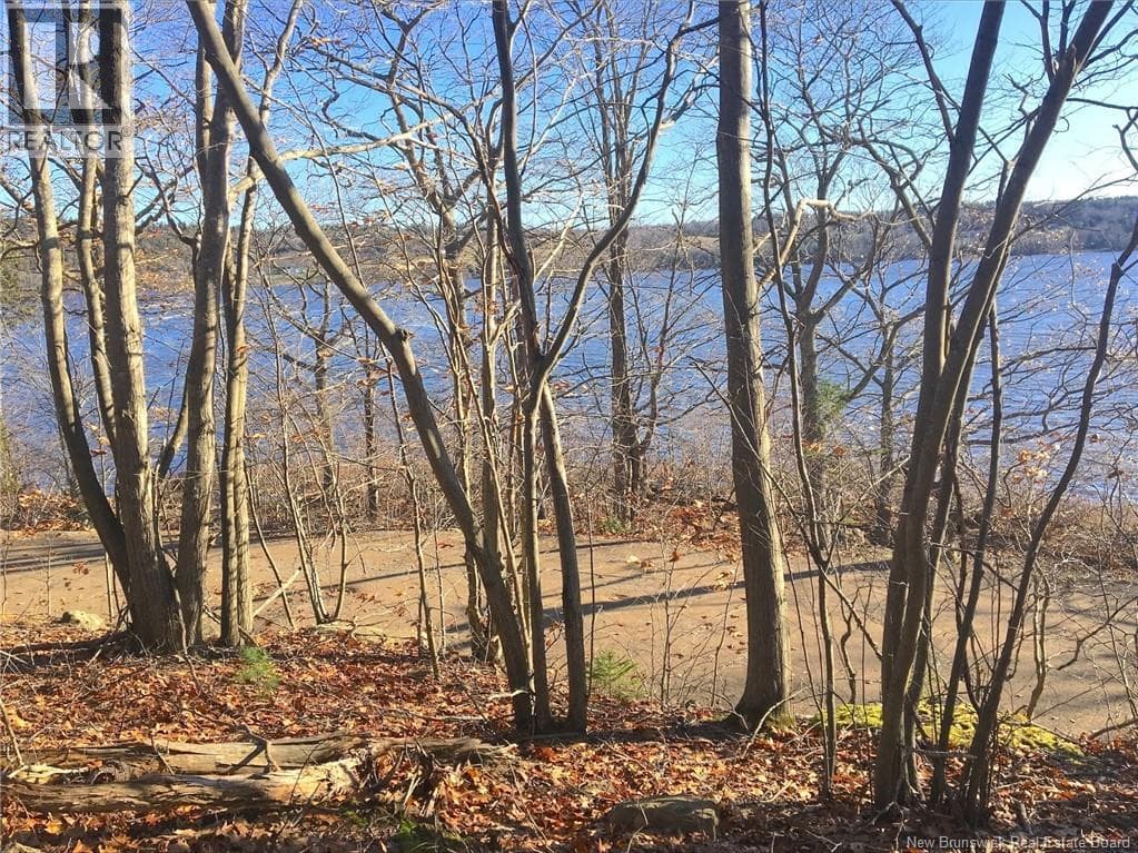 Norton Shore, photo 6