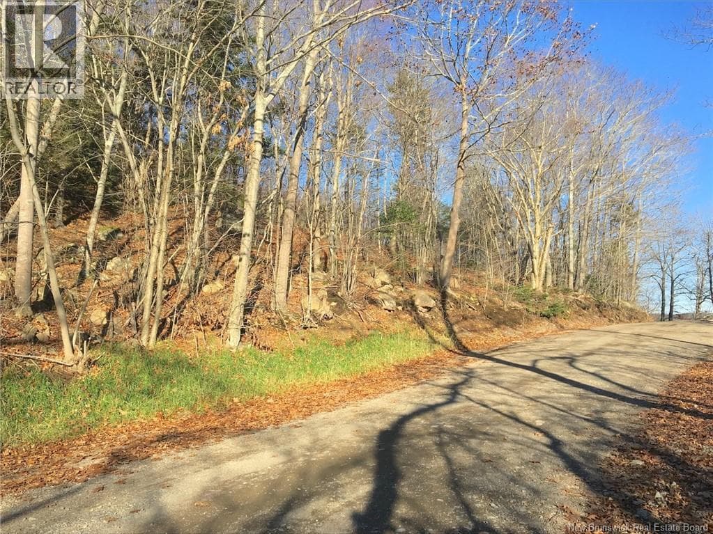 Norton Shore, photo 5