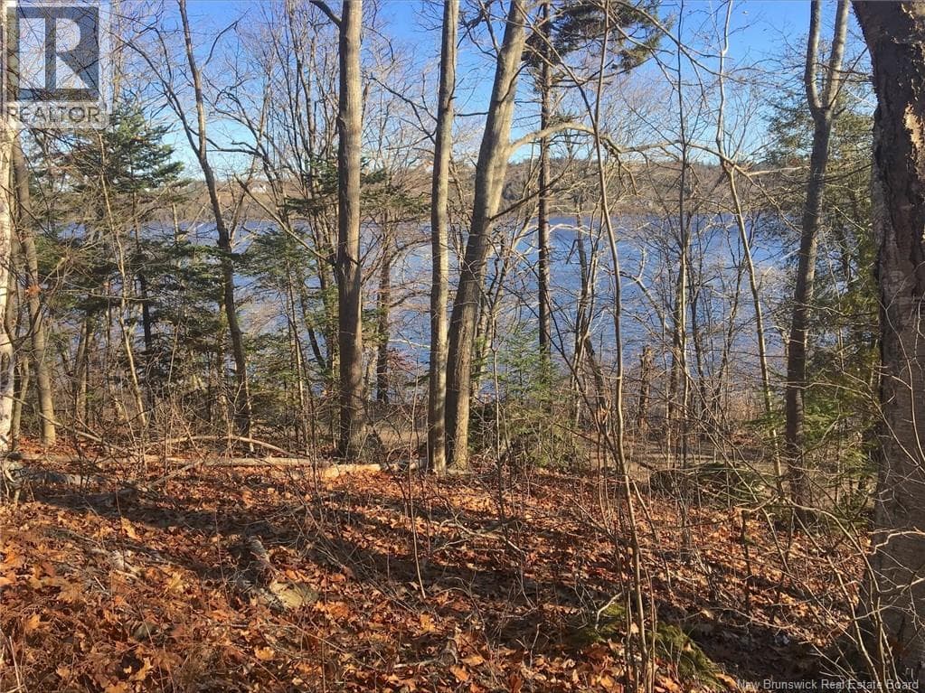 Norton Shore