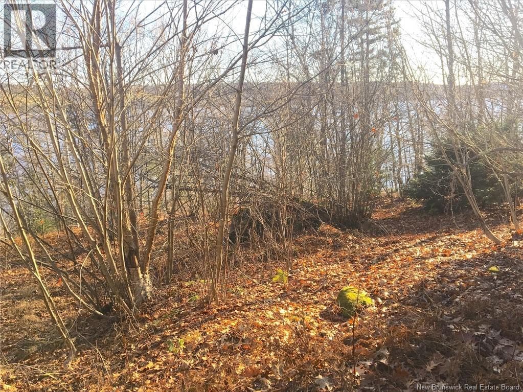 Norton Shore, photo 8