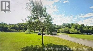 358 1/2 Rothesay Avenue, photo 3