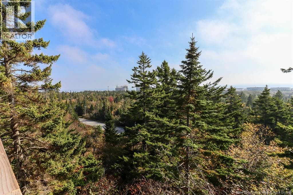 2315 Red Head Road, photo 36