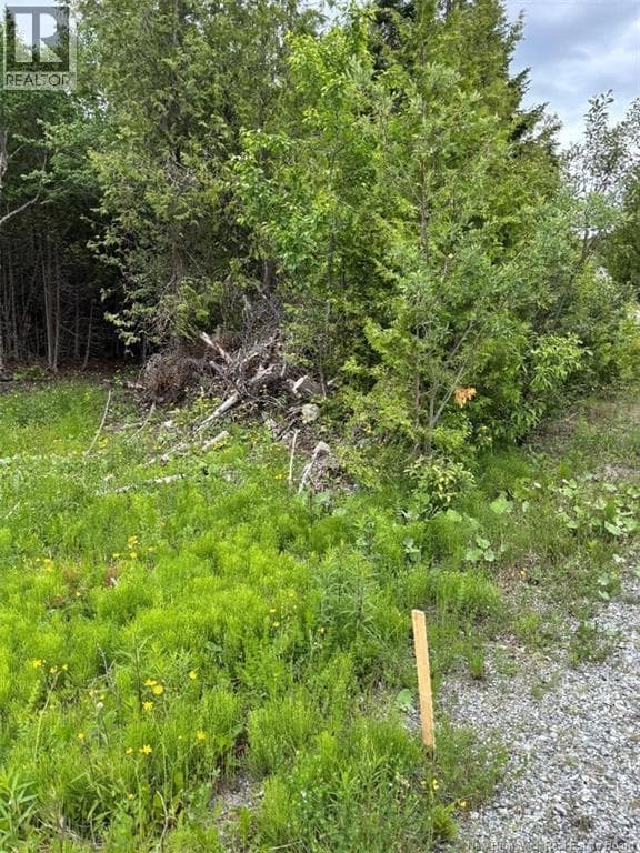 A-32 Deer Glen Drive, photo 2