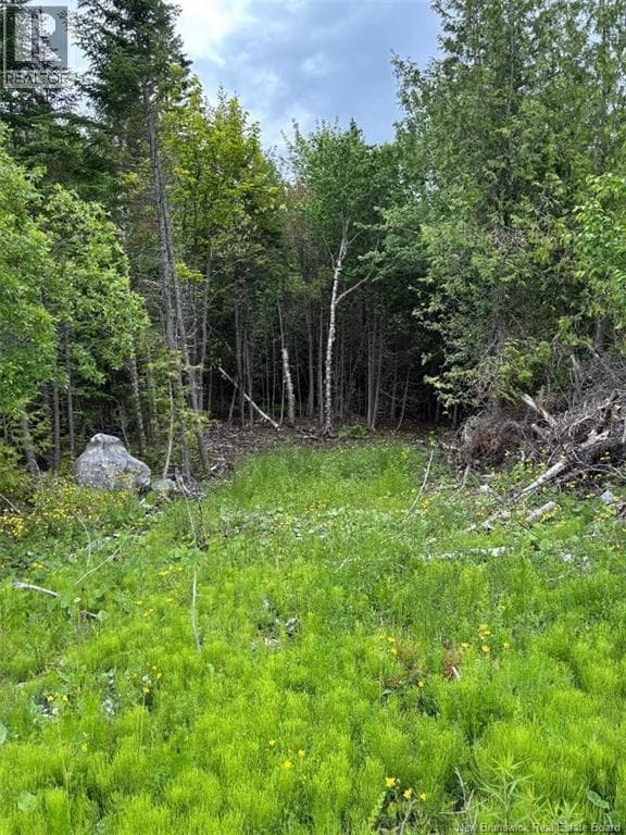 A-32 Deer Glen Drive, photo 3