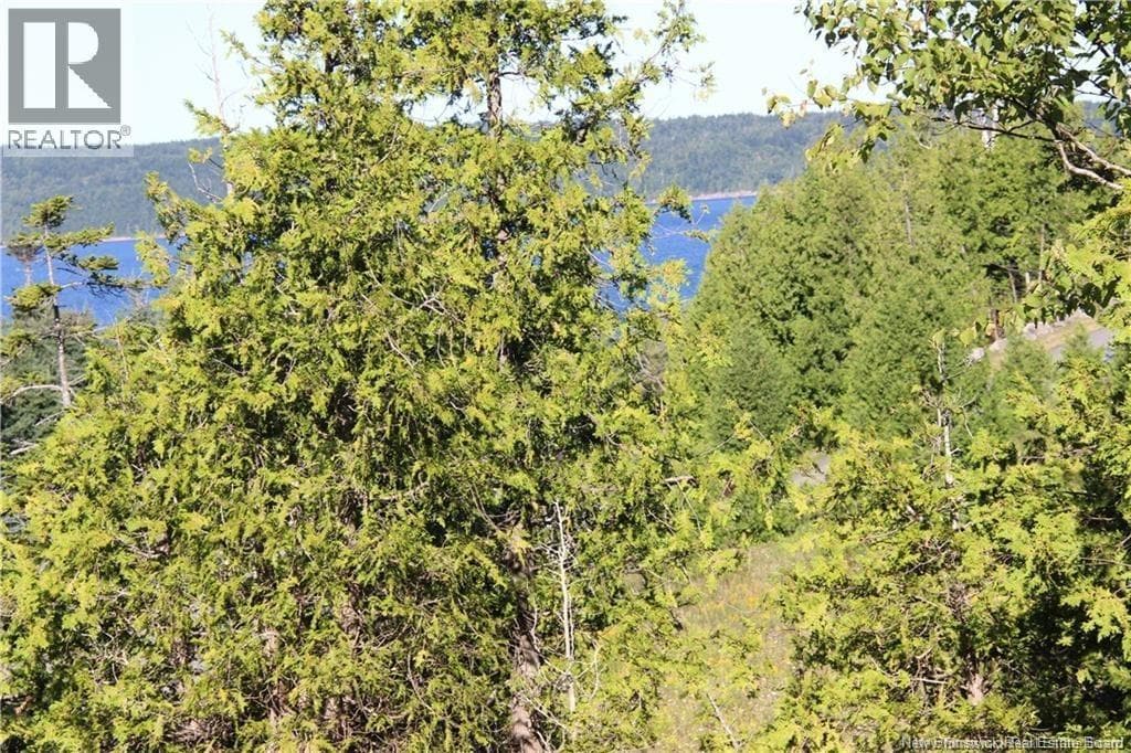 Lot C-4&5 Shoreline Drive, photo 2