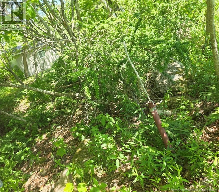 90 Crowley Road, photo 14